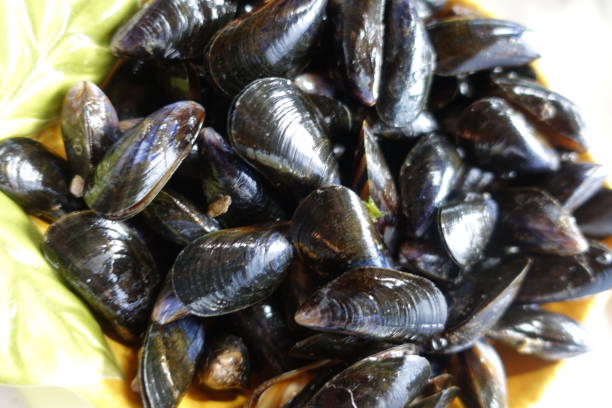 istock Mussels  Market stall  Price tag 1188833508