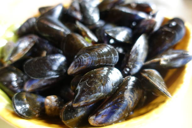 istock Mussels  Market stall  Price tag 1188833572