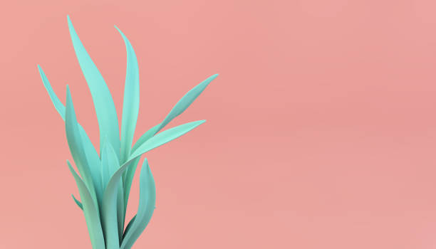 istock vivid color plant on pink background 1188840429