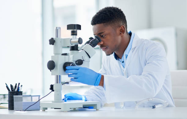 What an interesting find Cropped shot of a focused young male scientist looking at test samples through a microscope inside of a laboratory during the day microscope stock pictures, royalty-free photos & images
