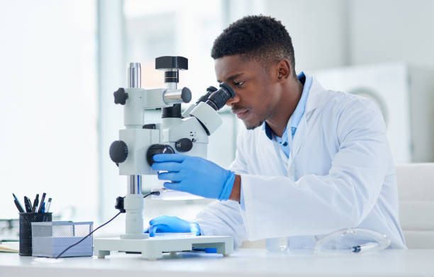 What an interesting find Cropped shot of a focused young male scientist looking at test samples through a microscope inside of a laboratory during the day scientists stock pictures, royalty-free photos & images