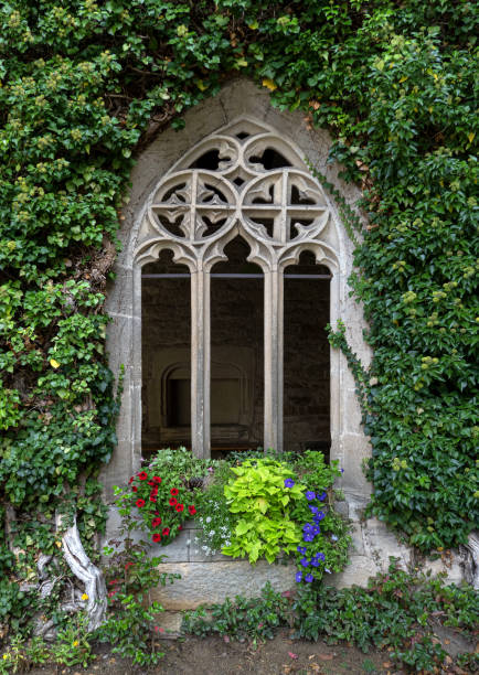 janela gótico aberta na fachada overgrown - mullions - fotografias e filmes do acervo