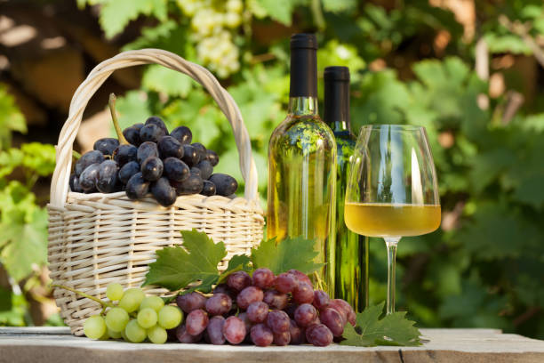 istock Colorful grapes and white wine 1188844230