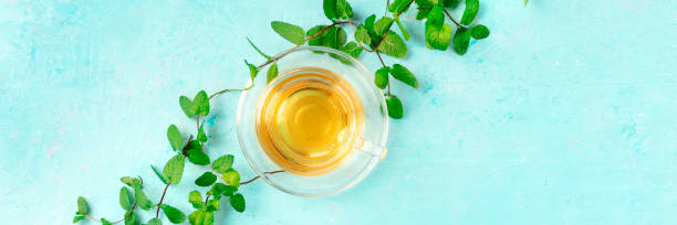 istock Mint tea cup panorama, overhead shot on a blue background with vibrant fresh mint leaves and copy space 1188850842