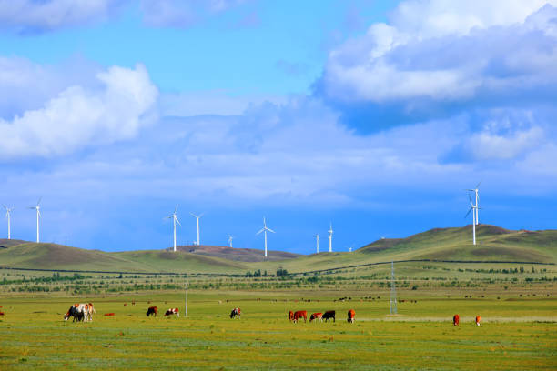 istock Horses and wind turbines in the grasslands 1188855536