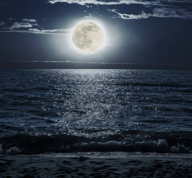 istock Moonlit Night over the Sea 1188856808