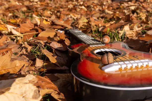 guitar in the autumn leaves in selective focus