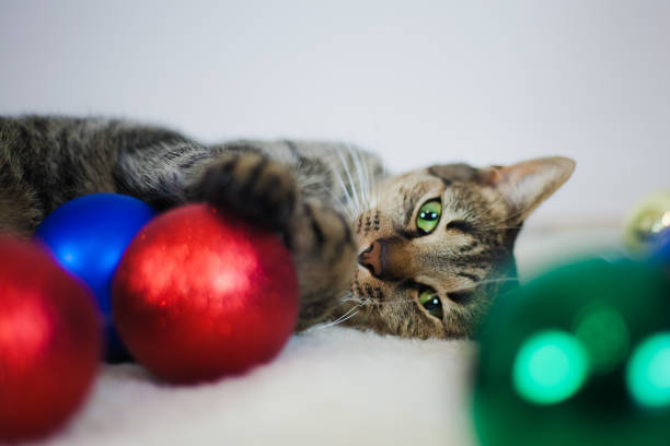 istock Christmas spirit 1188859412