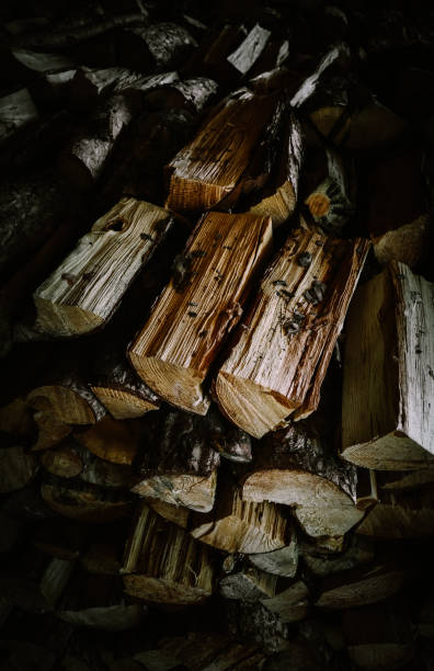 istock Chopped firewood stack dark background. Timbers woodpile logs backdrop. Rural wooden texture surface. 1188859527