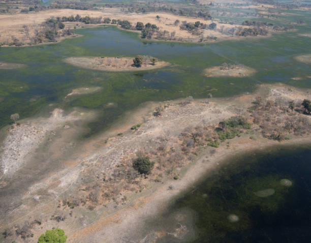 istock Aerial views of the Okavango Delta, Botswana 1188859746