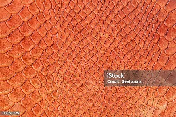 Red Crocodile Skin Texture Stock Photo - Download Image Now - Animal Body  Part, Animal Skin, Blank - iStock