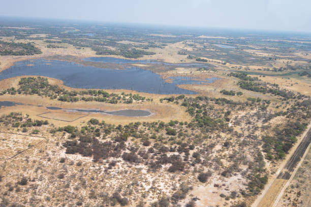 istock Aerial views of the Okavango Delta, Botswana 1188861980