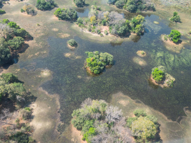 istock Aerial views of the Okavango Delta, Botswana 1188862022