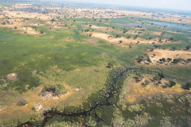 istock Aerial views of the Okavango Delta, Botswana 1188863187