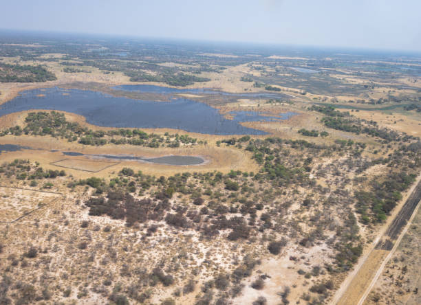 istock Aerial views of the Okavango Delta, Botswana 1188864302