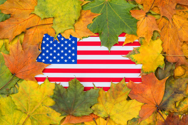 bandeira dos eua enterrada em folhas amarelas do bordo. textura do outono. - maple tree autumn textured leaf - fotografias e filmes do acervo