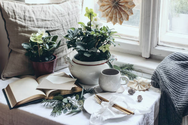 Moody winter breakfast still life scene. Christmas festive table setting with golden cutlery, cup of coffee, greeting card, eucalyptus and fir tree branches. Potted hellebores flowers at the window. Moody winter breakfast still life scene. Christmas festive table setting with golden cutlery, cup of coffee, greeting card, eucalyptus and fir tree branches, potted hellebores flowers at the window. hellebore stock pictures, royalty-free photos & images