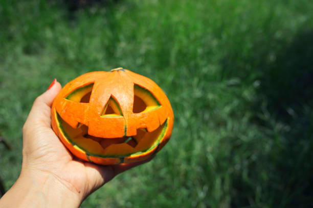 Pumpkin decorated for halloween and Thanksgiving in woman hand on green grass background