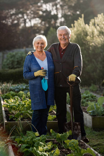 istock Senior couple smiling while standing together in their vegetable garden 1188866358