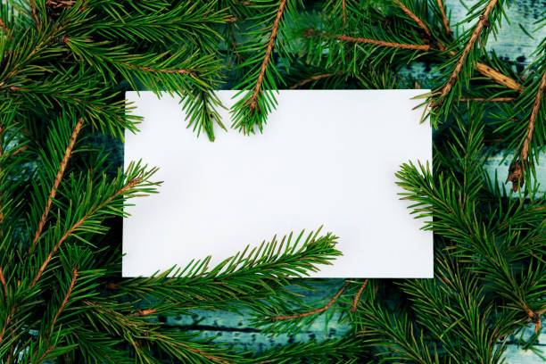 istock Christmas texture on a blue wooden background  surrounded by spruce branches. White form with a place for recording on branches. 1188866715