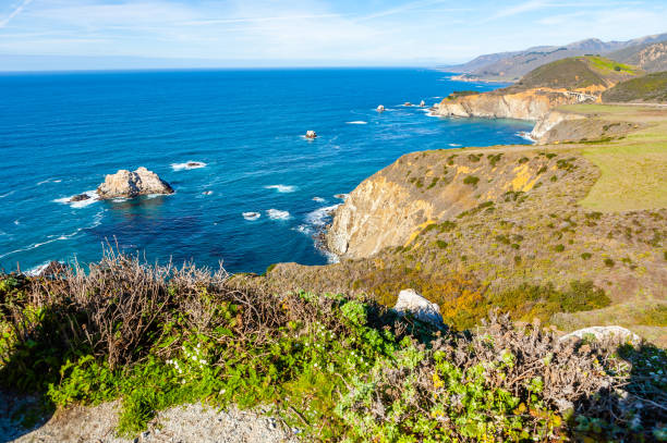 istock Coast of Pacific ocean 1188867498