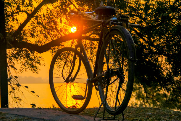 istock Sun rise or sunset view on lake side between cycle 1188868588