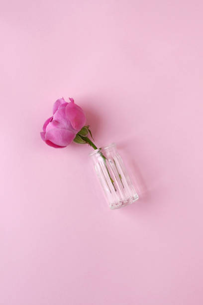 istock Rose flower in glass on pink background. 1188871514