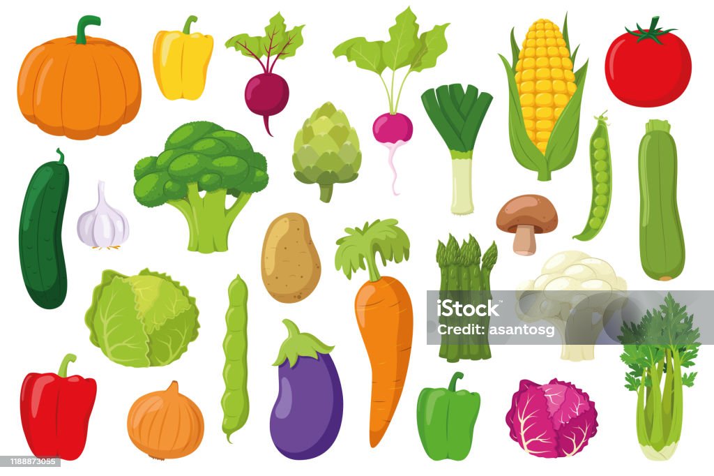 Ilustración de Colección De Verduras Conjunto De 26 Vegetales Diferentes En  Estilo De Dibujos Animados Ilustración Vectorial y más Vectores Libres de  Derechos de Tomate - iStock