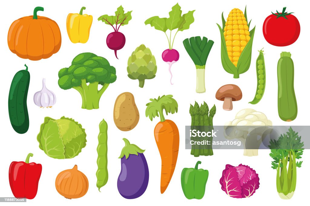 Ilustración de Colección De Verduras Conjunto De 26 Vegetales Diferentes En Estilo De Dibujos Animados Ilustración Vectorial y más Vectores Libres de Derechos de Tomate - iStock Ilustración de Colección De Verduras Conjunto De 26 Vegetales Diferentes En Estilo De Dibujos Animados Ilustración Vectorial y más Vectores Libres de Derechos de Tomate - iStock