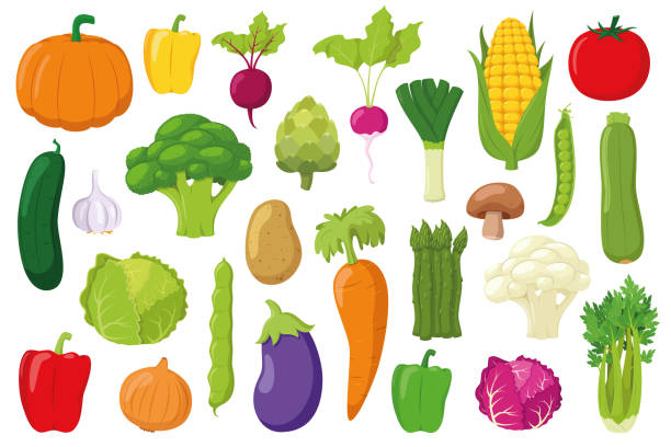 kolekcja warzyw: zestaw 26 różnych warzyw w stylu kreskówki ilustracji wektor - vegetable asparagus cauliflower legume stock illustrations