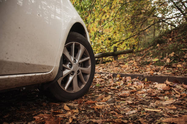 istock Car wheel in autumn 1188873306