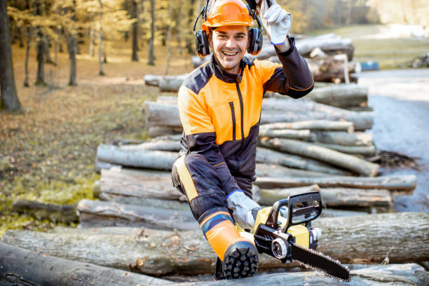 Portrait of a cheerful professional lumberjack in protective workwear standing with a chainsaw on a pile of logs in the forest