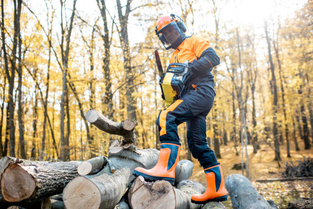 istock Professional lumberjack in the forest 1188875905