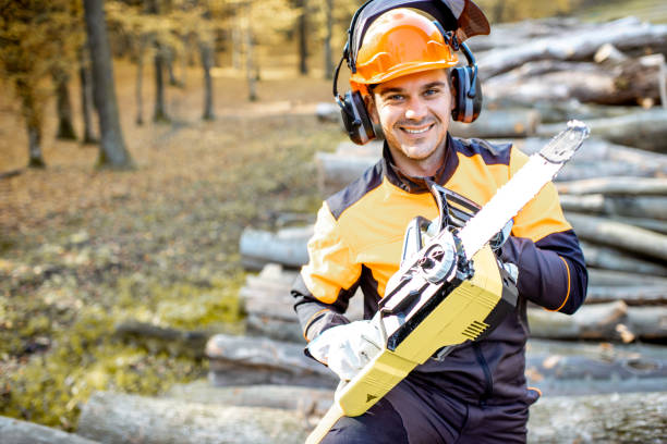 istock Professional lumberjack in the forest 1188876412