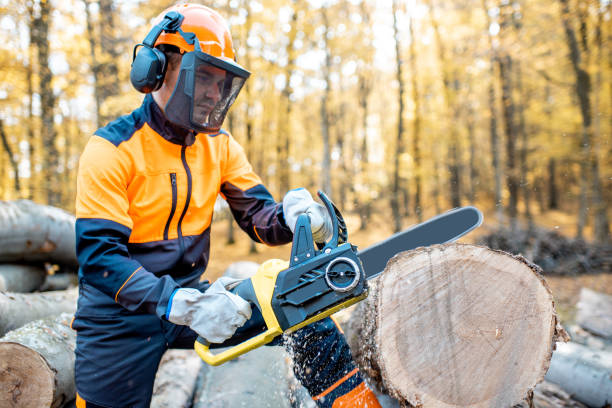 istock Professional lumberjack in the forest 1188876442