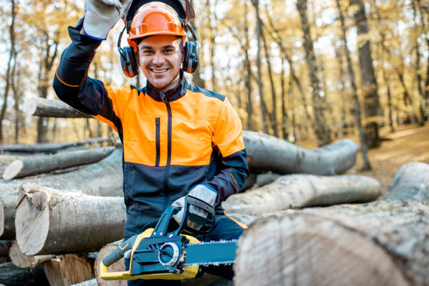 istock Professional lumberjack in the forest 1188876457