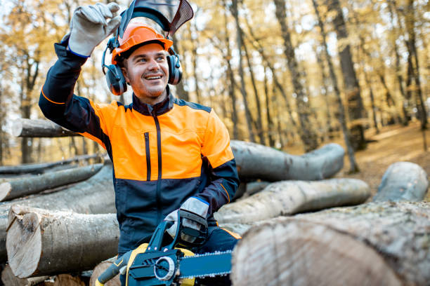 istock Professional lumberjack in the forest 1188876460