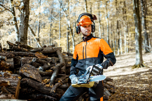 istock Professional lumberjack in the forest 1188876552