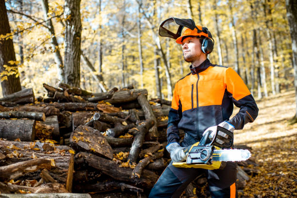 istock Professional lumberjack in the forest 1188876555