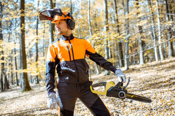 istock Professional lumberjack in the forest 1188876702