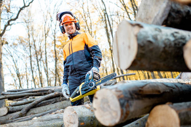 istock Professional lumberjack in the forest 1188876731