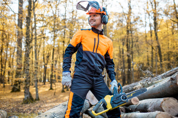 istock Professional lumberjack in the forest 1188876733