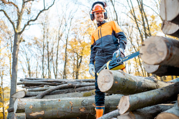 istock Professional lumberjack in the forest 1188876749