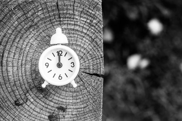 istock Alarm clock on wooden background 1188878978