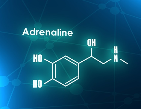 Chemical molecular formula hormone adrenaline. Infographics illustration. 3D rendering