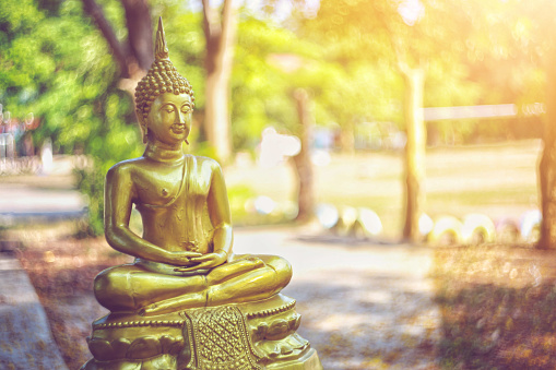 昼間の金の仏像の写真 Unsplashで見つける壁紙の無料写真 昼間の金の仏像の写真 Unsplashで見つける壁紙の無料写真