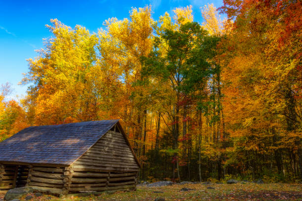 Old vintage wooden house in the forest. Abandoned rustic romanian house built in the forest.