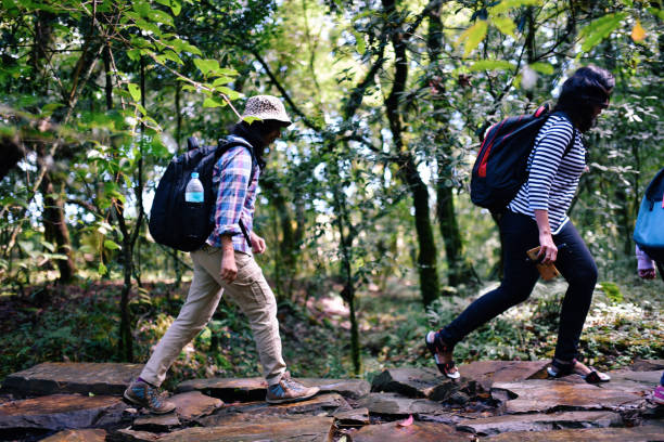 istock Two women hiking through the jungle 1188881543