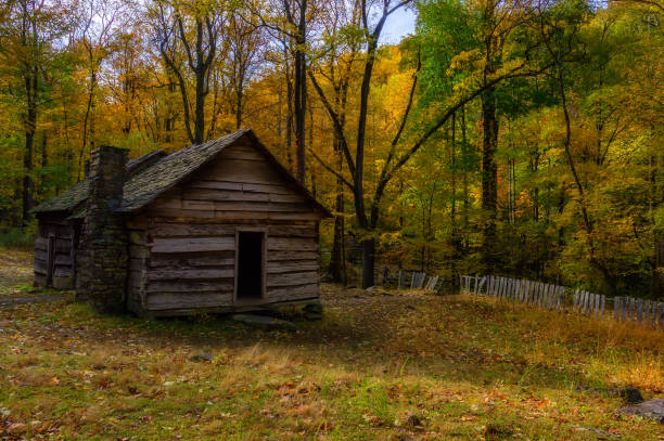istock Roaring Fork Motor Trail in the Smoky Mountains 1188881827