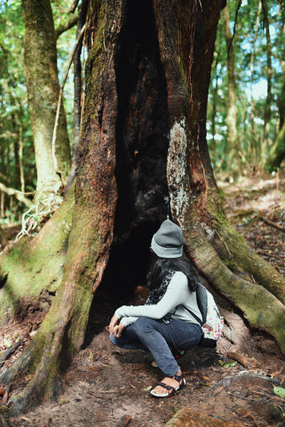 istock Tweenage girl sitting next to tree hole 1188882812